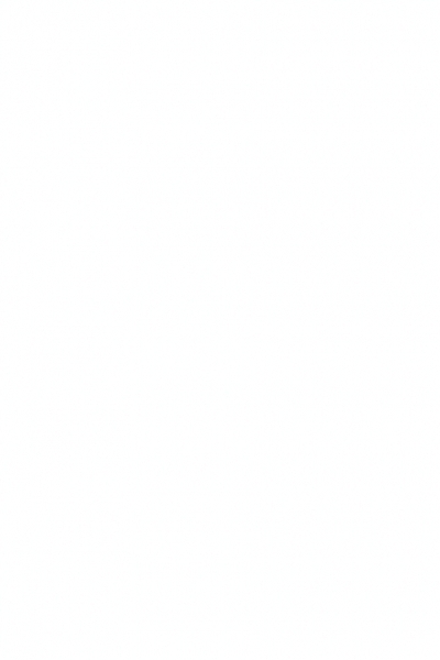 /files/gimgs/th-19_19_blankwww.jpg