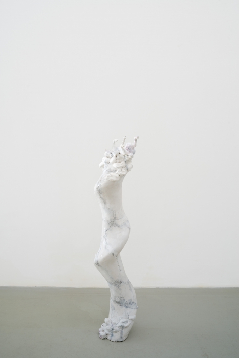 /files/gimgs/th-67__DSC5259.jpg